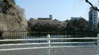 2012040908010001.jpg