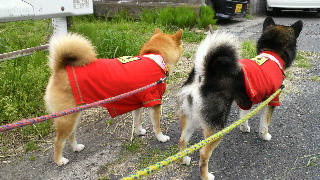2012043008160001.jpg