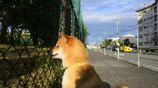 2012050317490002.jpg