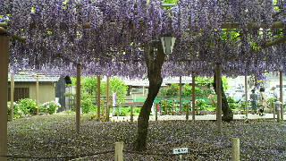 2012050413300000.jpg