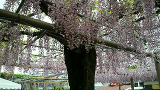 2012050413310000.jpg