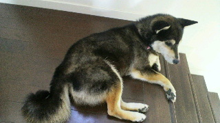 2012060606330000.jpg