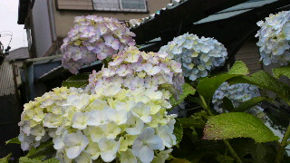 2012060910200000.jpg