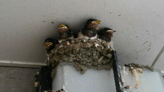 2012062404120000.jpg