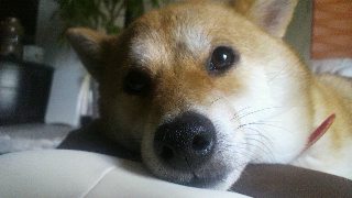 2012071516120000.jpg