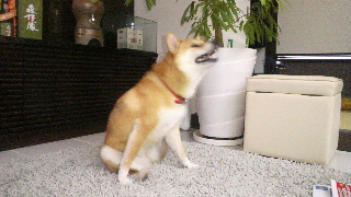 2012082510420000.jpg