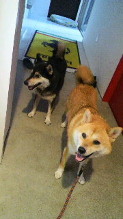 2012083006460000.jpg