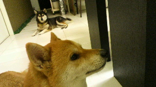 2012090207340000.jpg