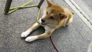 2012090214500000.jpg