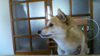 2012090401170000.jpg