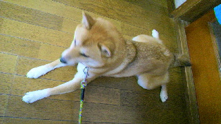 2012090401170001.jpg
