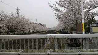 2013040103300001.jpg