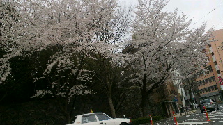 2013040103510000.jpg