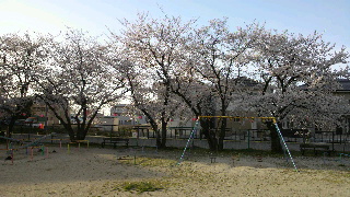 2013040609340000.jpg
