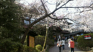 2013041420320000.jpg