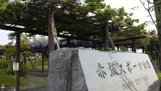 2013050601310000.jpg