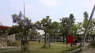 2013050601310002.jpg