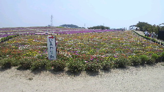 2013072817050001.jpg