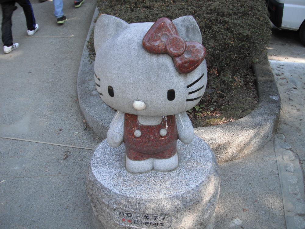 kitty.jpg
