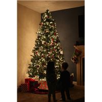 christmas-685923_960_720.jpg