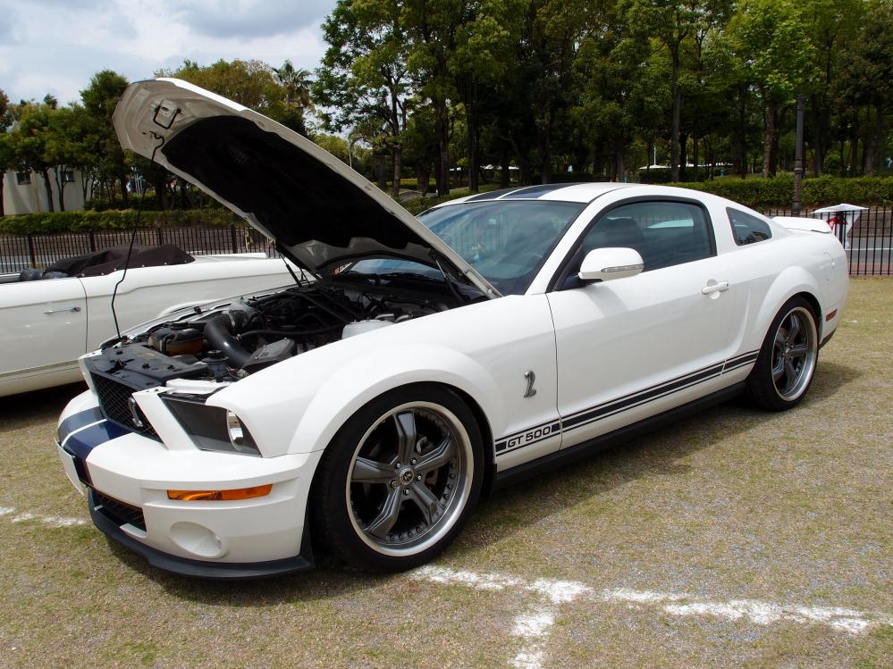 フォード　2007シェルビー　マスタング　GT500