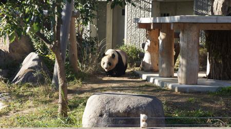 2012120311.jpg