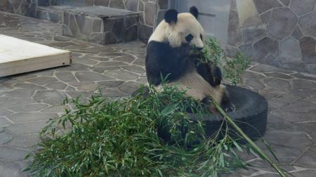 2012120315.jpg