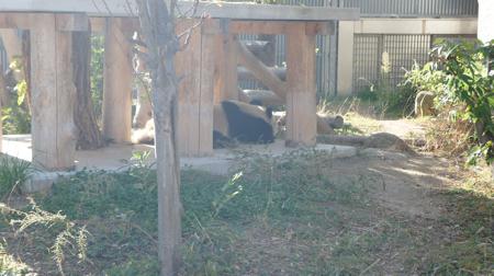 201212033.jpg