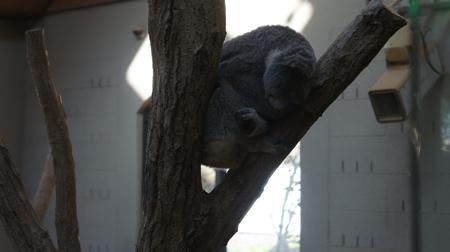 201212035.jpg