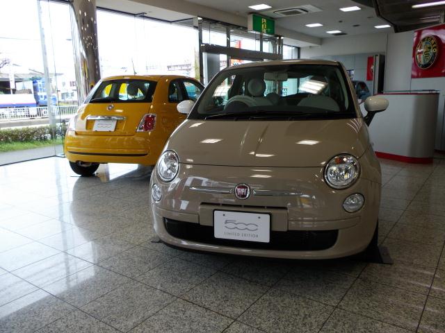 パステロ (1).jpg