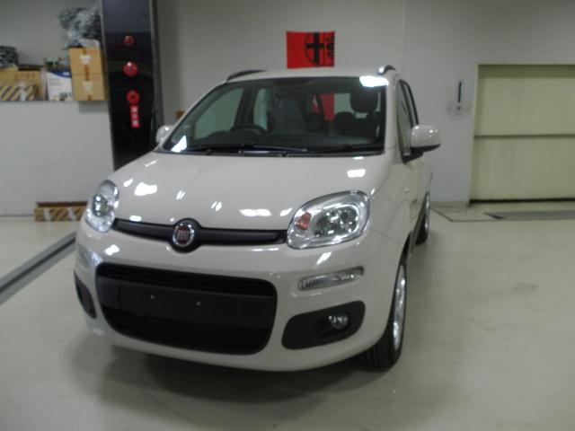 Panda スイートキャンディーベージュ (1).jpg