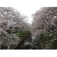 五条川.jpg