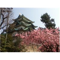 名古屋城　赤.jpg