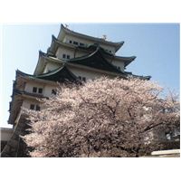 名古屋城　1.jpg