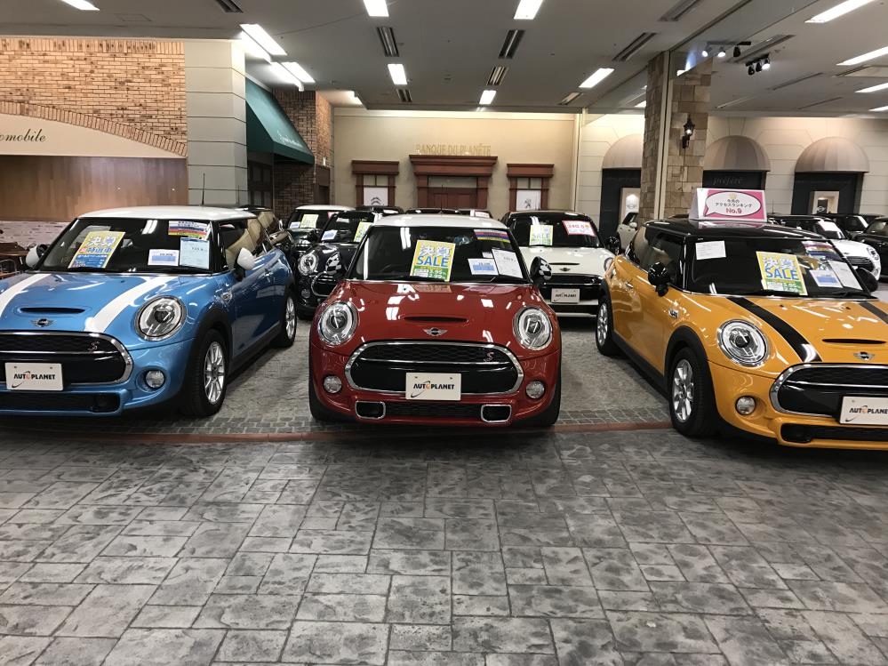 minimini1.jpg