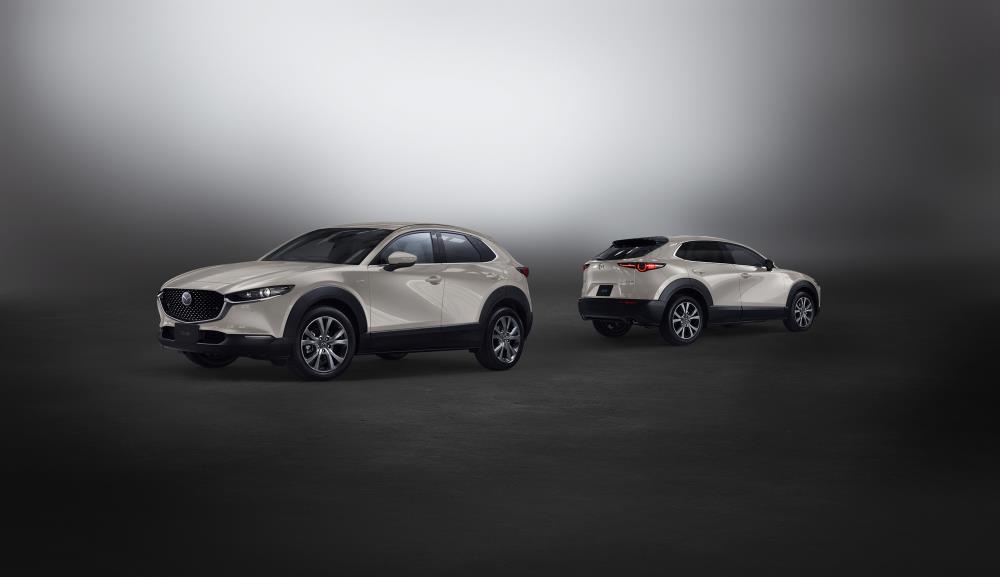3.cx-30_x_l_package_platinum_quartz_metalic_l.jpg